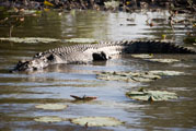 Kakadu National Park