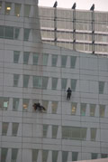 Fensterputzer