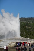 Old Faithful